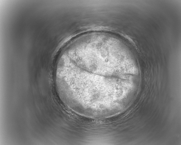 X0000059801263200511181505