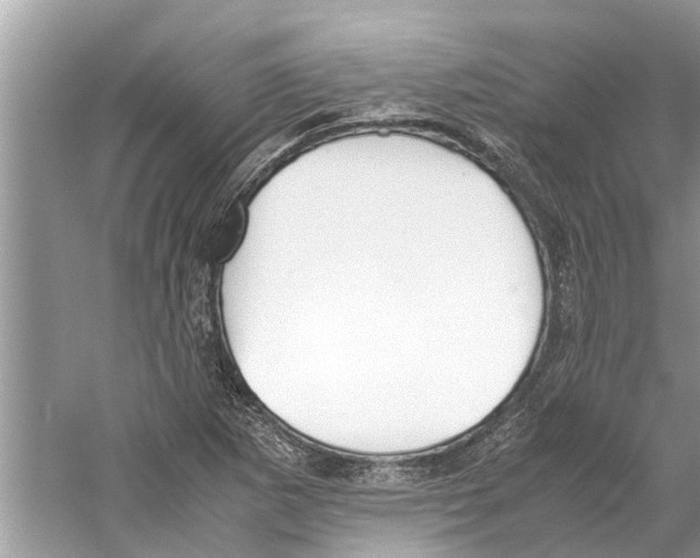 X0000059801265200511181505