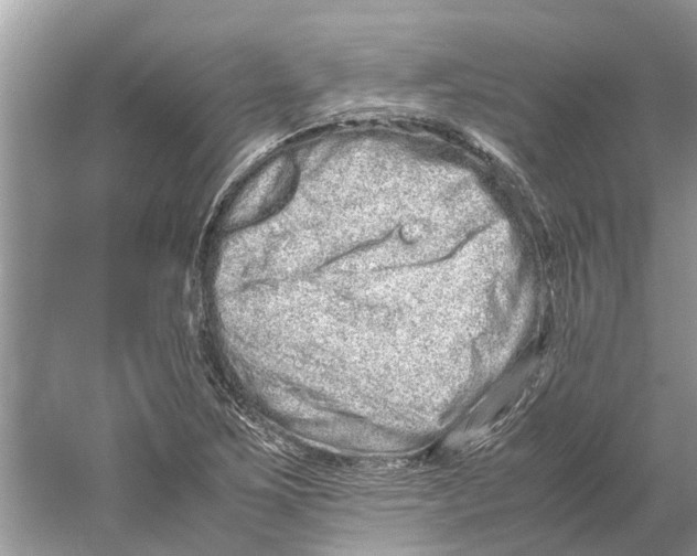 X0000059801267200511181505