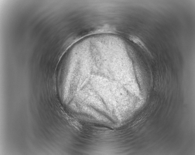 X0000059801268200511181505