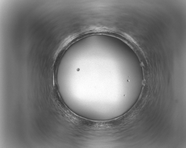 X0000059801269200511181505