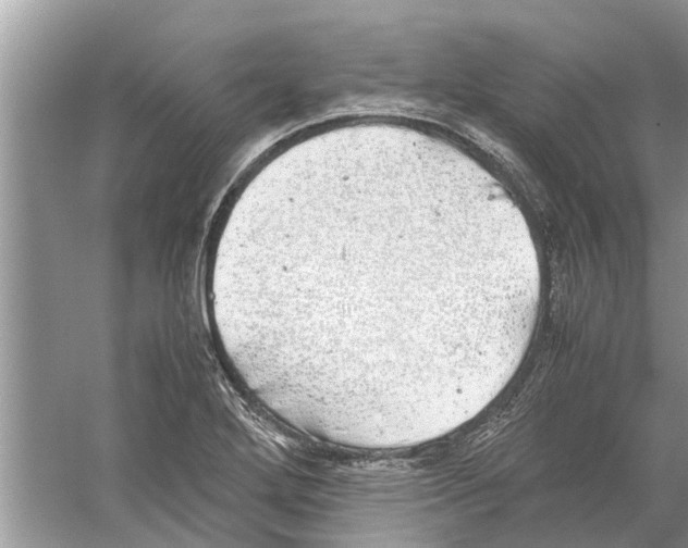 X0000059801272200511181505