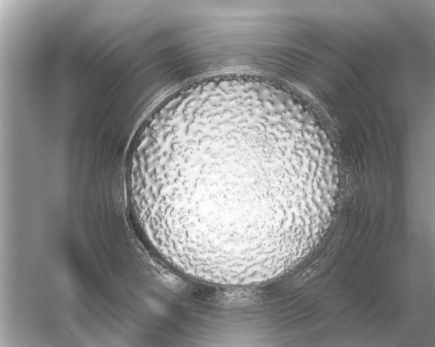 X0000059801274200511181505