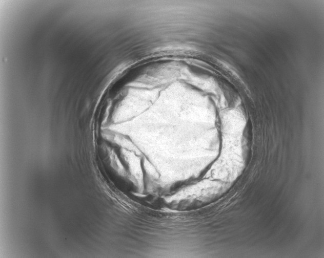 X0000059801275200511181505