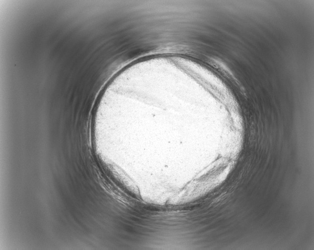 X0000059801276200511181505