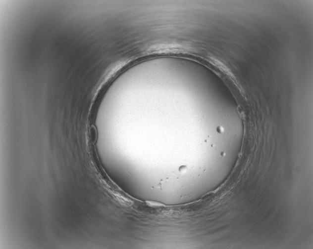 X0000059801277200511181505