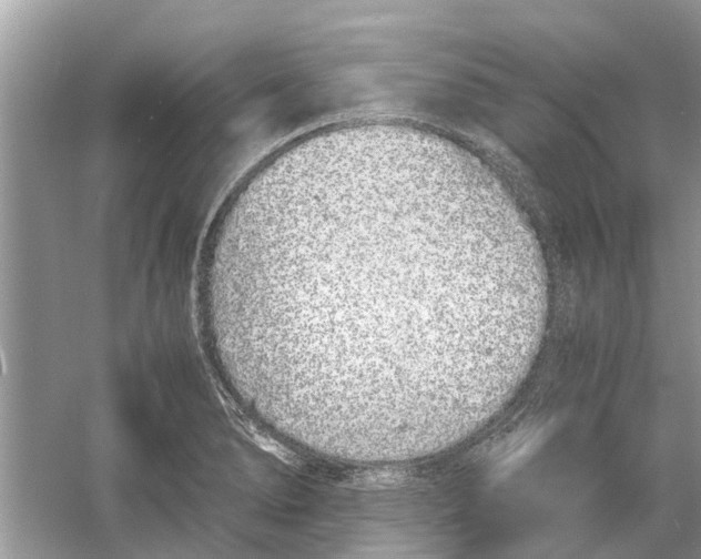 X0000059801278200511181505