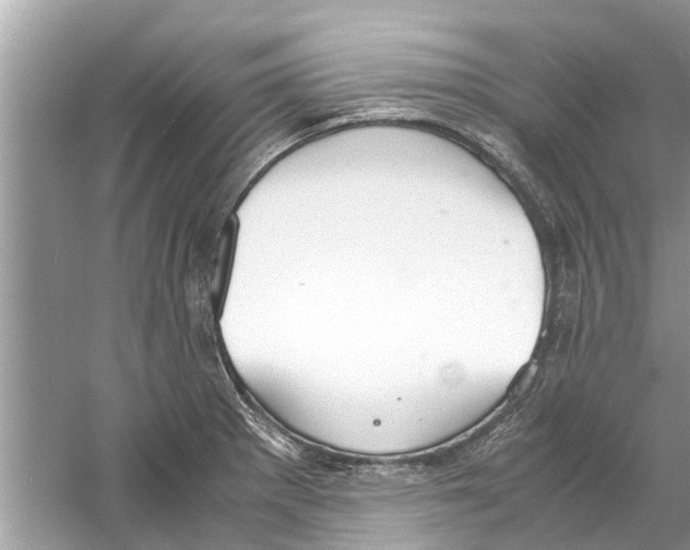 X0000059801281200511181505