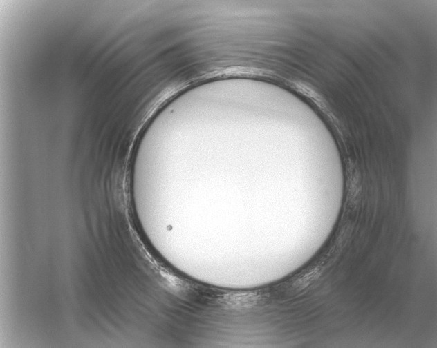 X0000059801282200511181505