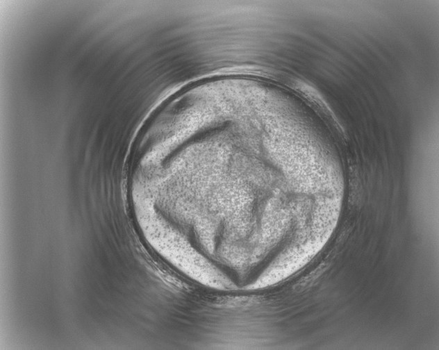 X0000059801284200511181505