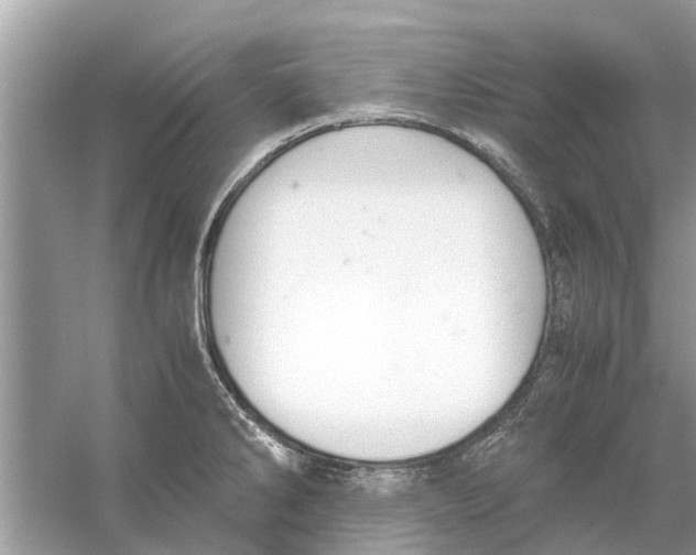 X0000059801286200511181505