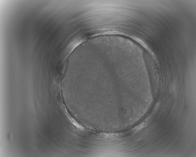 X0000059801289200511181505