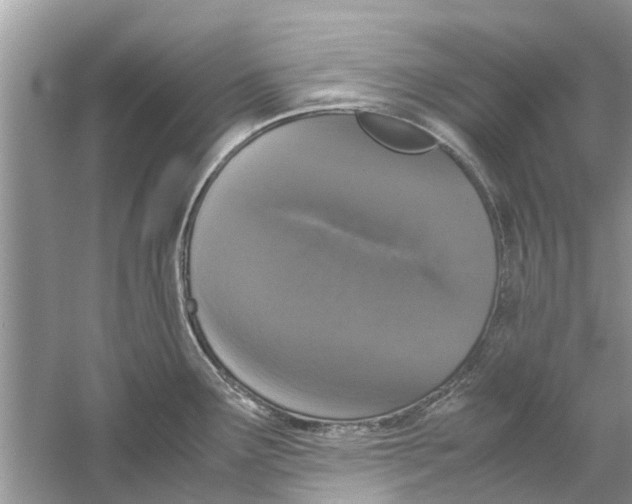 X0000059801291200511181504