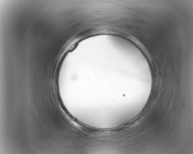 X0000059801293200511181504