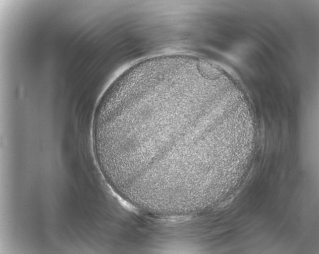 X0000059801294200511181504