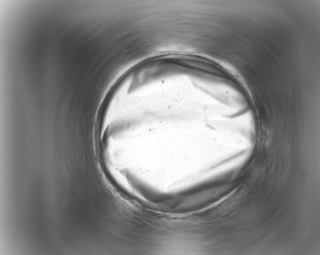 X0000059801295200511181504