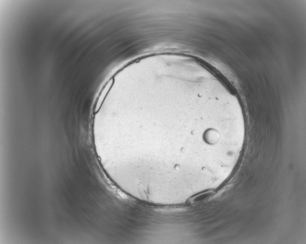 X0000059801296200511181504