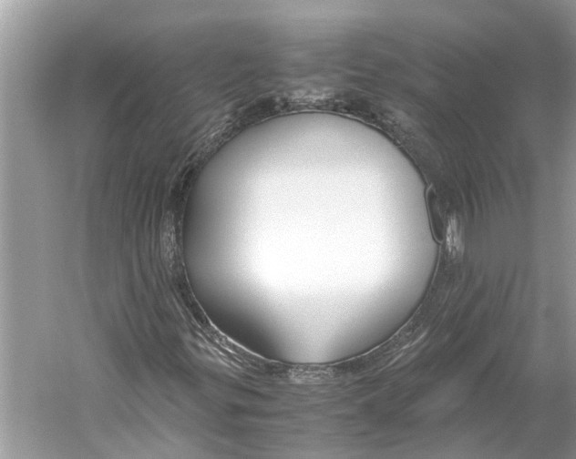 X0000059801299200511181504