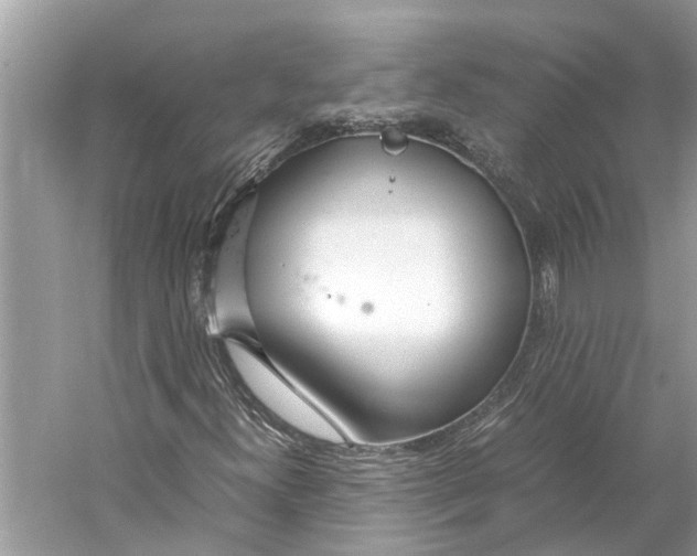 X0000059801300200511181504