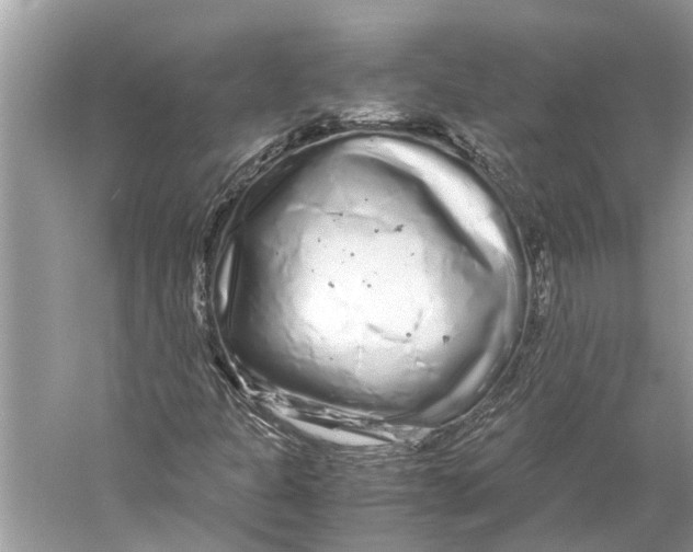 X0000059801301200511181504