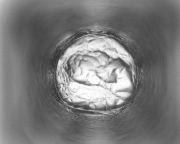 X0000059801302200511181504