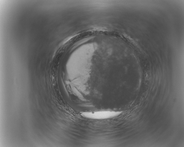 X0000059801303200511181504