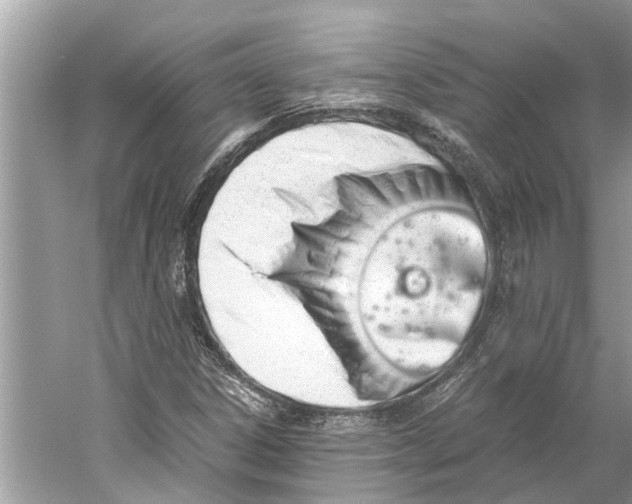 X0000059801306200511181504