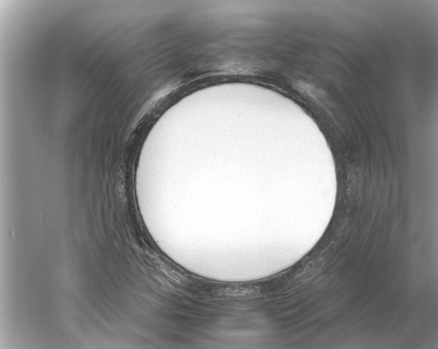 X0000059801307200511181504