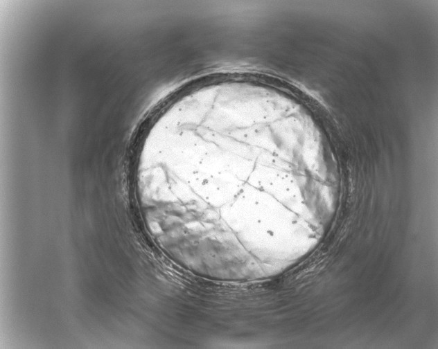 X0000059801311200511181504