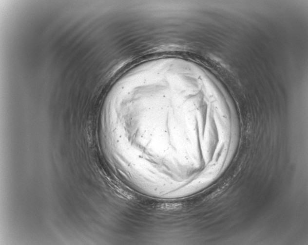 X0000059801313200511181504