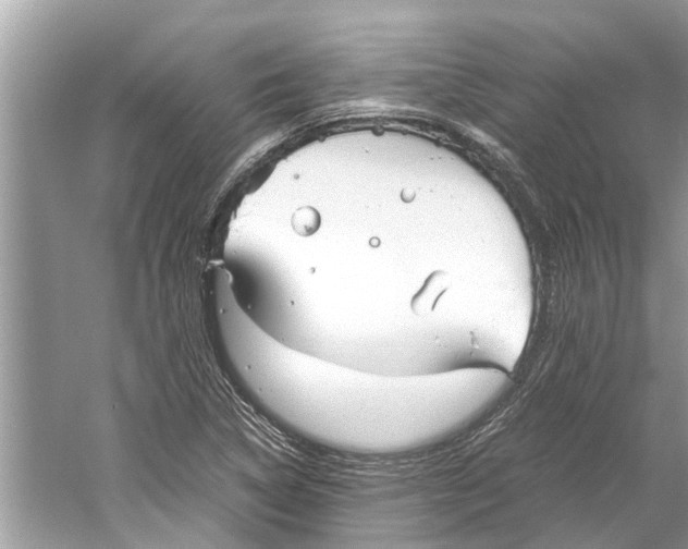 X0000059801314200511181504