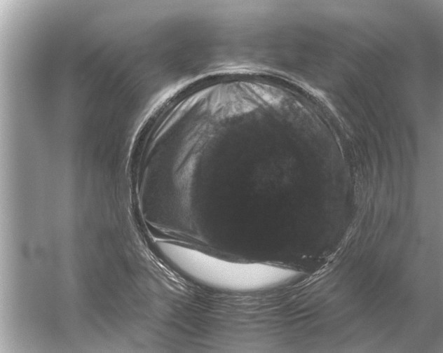 X0000059801319200511181504