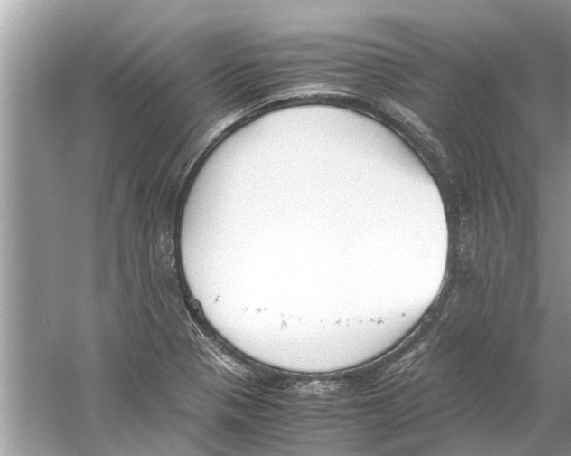 X0000059801321200511181504