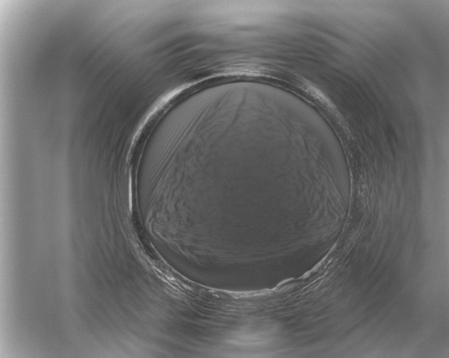 X0000059801323200511181504