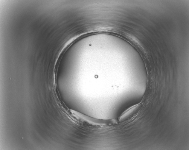 X0000059801324200511181504