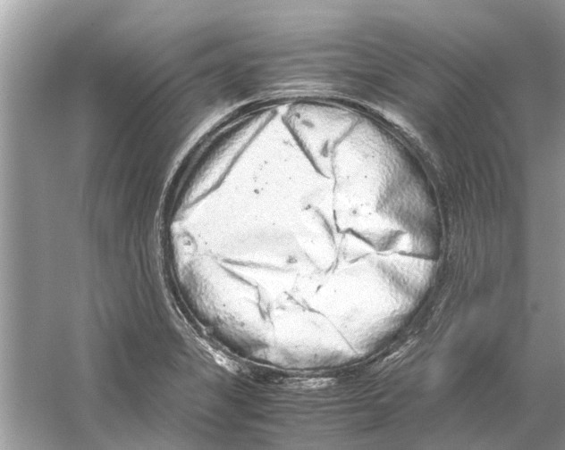 X0000059801325200511181504