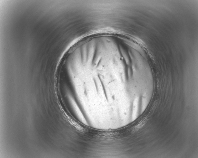 X0000059801326200511181504