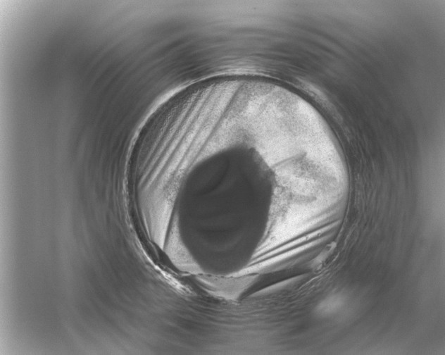 X0000059801331200511181504