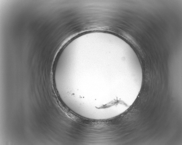 X0000059801332200511181504