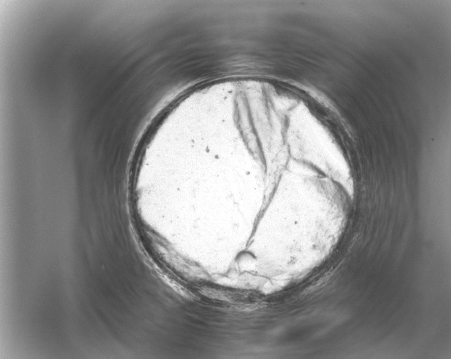 X0000059801333200511181504