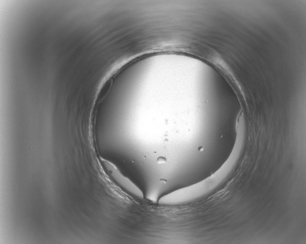 X0000059801336200511181504