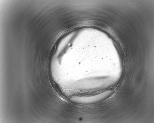 X0000059801337200511181504