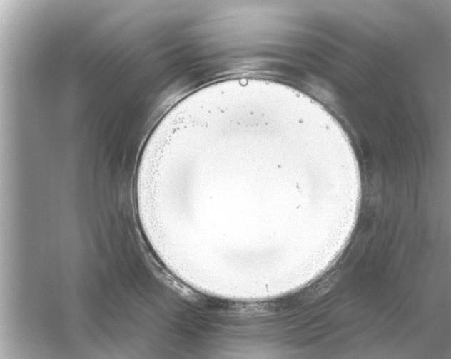 X0000059801338200511181504