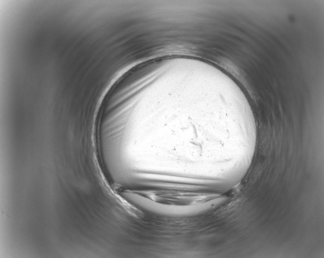 X0000059801339200511181504