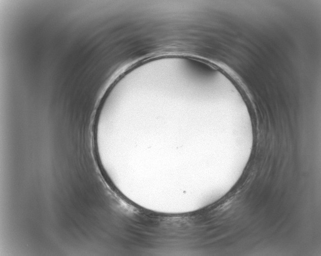 X0000059801341200511181504