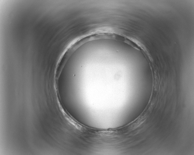 X0000059801342200511181504