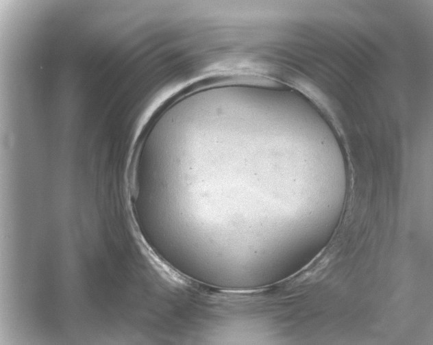 X0000059801344200511181504