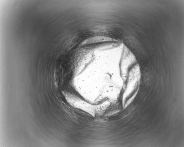 X0000059801346200511181504