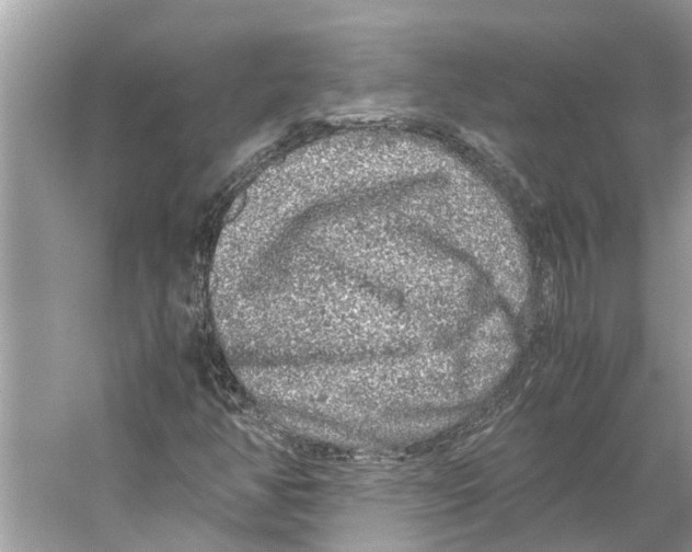 X0000059801350200511181503