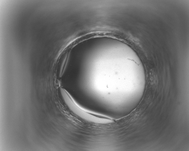 X0000059801352200511181503